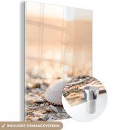 Glasschilderij - Wanddecoratie - Schelpen - Strand - Zon - Acrylplaat - Glasschilderij natuur - Foto op glas - Glasschilderij strand - Acrylglas - 60x80 cm - Schilderijen woonkamer - Muurdecoratie