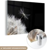 MuchoWow® Peinture sur Verre - Bloem - Pissenlit - Plante - 90x60 cm - Peintures sur Verre Peintures - Photo sur Glas