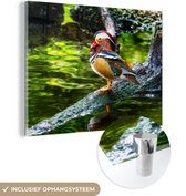 MuchoWow® Glasschilderij 40x30 cm - Schilderij acrylglas - Eend - Mandarijneend - Tak - Foto op glas - Schilderijen