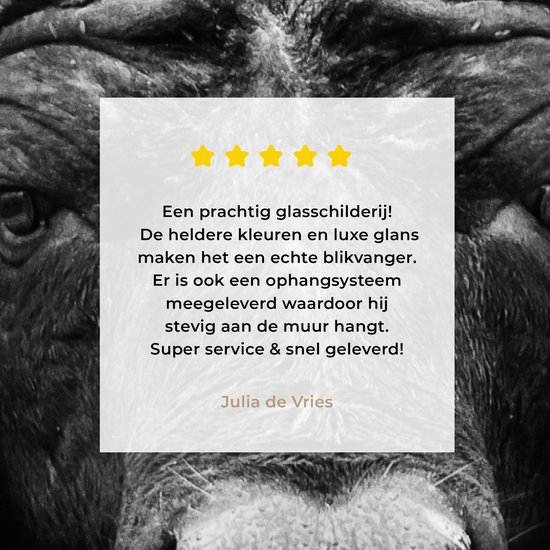 Peinture sur verre - Photo sur verre - Verre acrylique - Animaux - Buffalo - Zwart - Wit - Décoration murale animaux - 60x90 cm - Salon - Décoration de chambre - Décoration murale