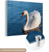 Glasschilderij - Foto op glas - Acrylglas - Zwaan - Vogel - Water - Landschap - 80x60 cm - Schilderij glas - Glasschilderij vogels - Glasschilderij dieren - Kamer decoratie