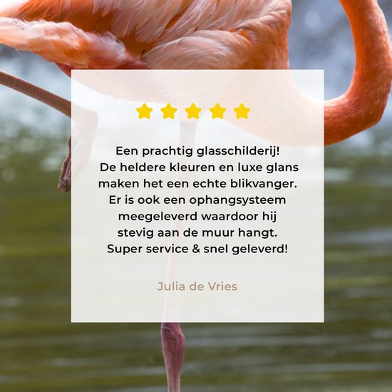 Flamant rose fond sombre Verre 20x30 cm - petit - Tirage photo sur verre (décoration murale en plexiglas)