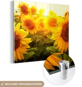 Glasschilderij - Muurdecoratie bloemen - Zonnebloem - Geel - Bloem - Glasschilderij bloemen - Foto op glas - Glazen schilderij - Acrylglas - Wanddecoratie - 90x90 cm - Schilderijen woonkamer