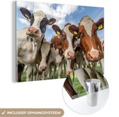 Peinture sur verre - Peinture sur verre - Vaches - Vache - Animaux - Nature - Marron - Peinture sur verre animaux - Décoration murale - Photo sur verre - 30x20 cm - Verre acrylique