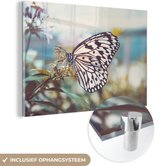MuchoWow® Glasschilderij 90x60 cm - Schilderij acrylglas - Vlinder - Bloemen - Lente - Foto op glas - Schilderijen