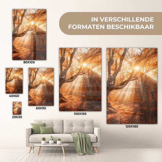 MuchoWow® Peinture sur verre - Arbre - Nature - Automne - 40x60 cm - Peintures sur verre acrylique - Photo sur Glas