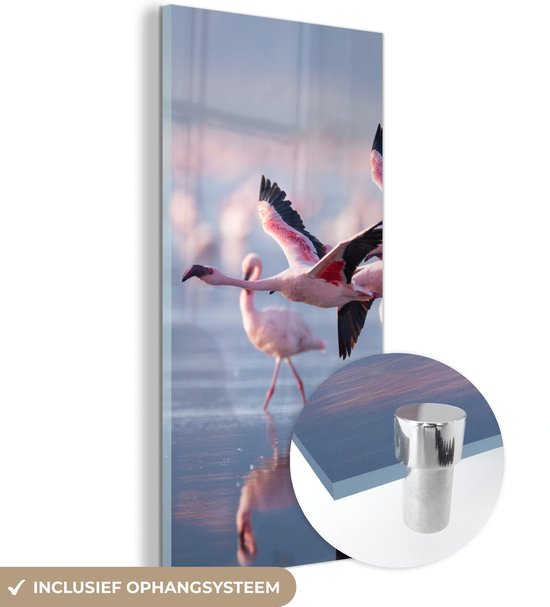 Glasschilderij - Acrylglas - Flamingo - Zee - Water - Vogel - Tropical - Foto op glas - Muurdecoratie - 20x40 cm - Wanddecoratie - Schilderij glas - Schilderij dieren - Woondecoratie