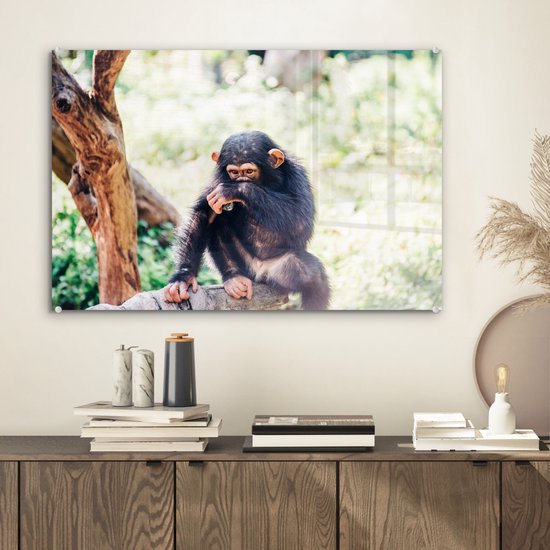MuchoWow® Peinture sur verre 60x40 cm - Peinture sur verre acrylique - Singe chimpanzé en gros plan assis dans la forêt - Photo sur verre - Peintures
