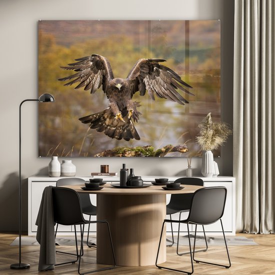 Atterrissage aigle royal aux ailes courbes Plexiglas 160x120 cm - Tirage photo sur Glas (décoration murale plexiglas) XXL / Groot format!