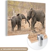 MuchoWow® Glasschilderij 180x120 cm - Schilderij acrylglas - Twee jonge olifanten - Foto op glas - Schilderijen