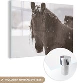 MuchoWow® Glasschilderij 60x40 cm - Schilderij acrylglas - Fries paard in de sneeuw - Foto op glas - Schilderijen