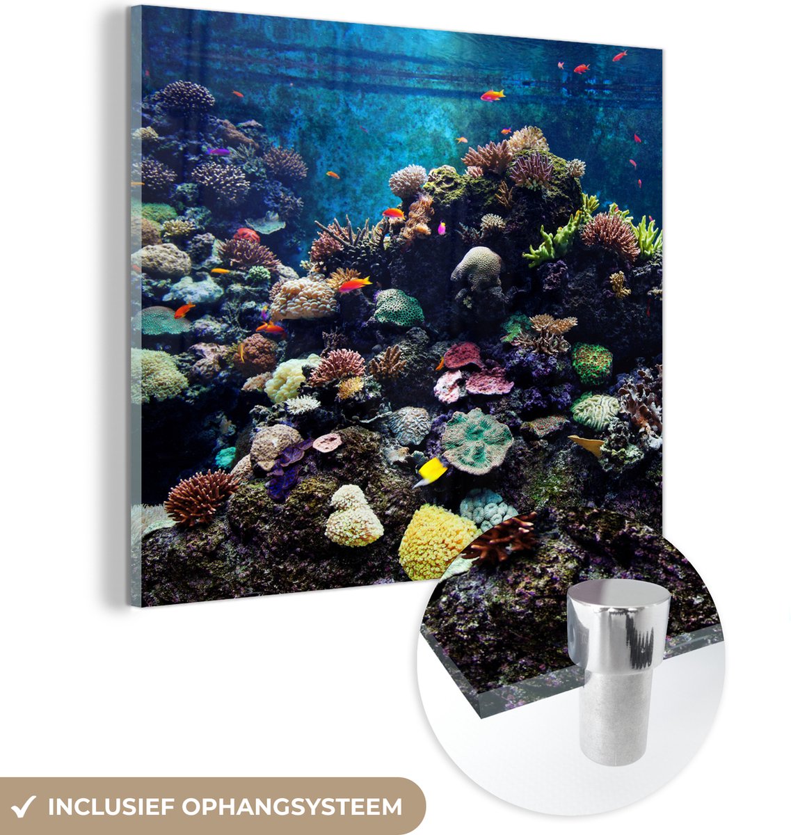 ® Glasschilderij 50x50 cm - Schilderij acrylglas - Aquarium met tropische vissen en koralen - Foto op glas - Muurdecoratie woonkamer - Wanddecoratie slaapkamer - Schilderijen