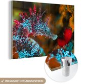 MuchoWow® Peinture sur Verre - Hippocampe aux Couleurs Vives - 90x60 cm - Peintures sur Verre Peintures - Photo sur Glas