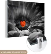 MuchoWow® Glasschilderij 160x120 cm - Schilderij acrylglas - Zwart-wit foto van een goudsbloem met een rood hartje - Foto op glas - Schilderijen