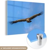 MuchoWow® Glasschilderij - Vale gier tijdens de vlucht - 90x60 cm - Acrylglas Schilderijen - Foto op Glas