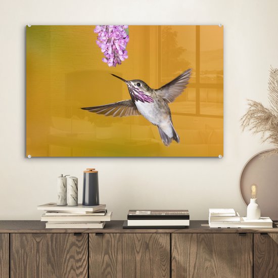 Un colibri calliope sur fond jaune Plexiglas 60x40 cm - Tirage photo sur Glas (Décoration murale plexiglas)