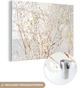 MuchoWow® Glasschilderij 120x90 cm - Schilderij acrylglas - Natuur - Takken - Bloemen - Foto op glas - Schilderijen