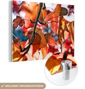 MuchoWow® Glasschilderij 40x30 cm - Schilderij acrylglas - Esdoorn - Bladeren - Landelijk - Herfst - Foto op glas - Schilderijen