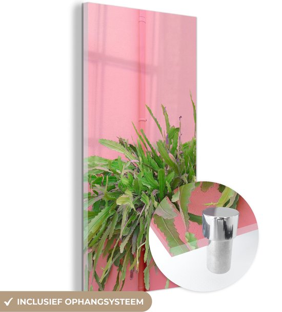 MuchoWow® Peinture sur verre 60x120 cm - Peinture sur verre - Plante - Été - Rose - Photo sur verre acrylique - Peintures