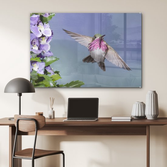Un colibri calliope aux fleurs violettes Plexiglas 120x80 cm - Tirage photo sur Glas (décoration murale plexiglas)