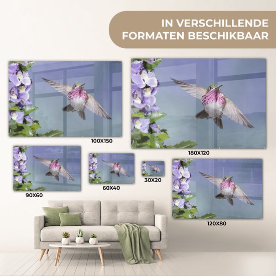 Un colibri calliope aux fleurs violettes Plexiglas 120x80 cm - Tirage photo sur Glas (décoration murale plexiglas)