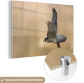 MuchoWow® Glasschilderij 90x60 cm - Schilderij acrylglas - Valk - Vliegen - Roofvogel - Foto op glas - Schilderijen