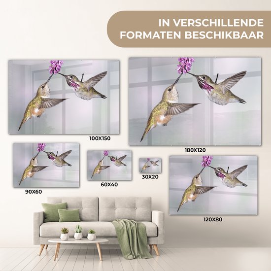 Un mâle et une femelle colibri calliope Plexiglas 60x40 cm - Tirage photo sur Glas (décoration murale plexiglas)