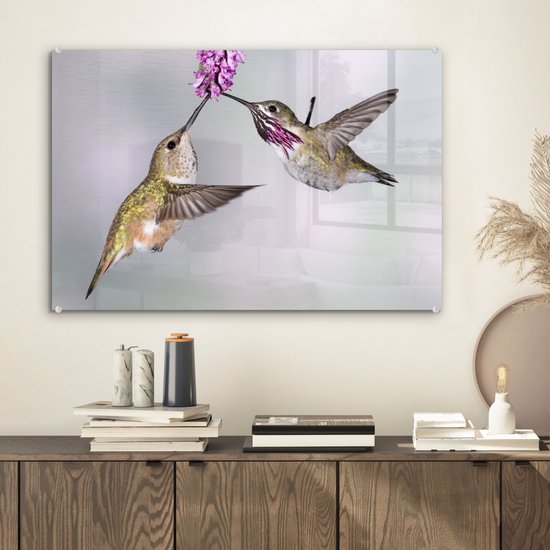 Un mâle et une femelle colibri calliope Plexiglas 60x40 cm - Tirage photo sur Glas (décoration murale plexiglas)