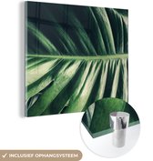 MuchoWow® Glasschilderij 90x90 cm - Schilderij acrylglas - Bladeren - Tropisch - Jungle - Foto op glas - Schilderijen