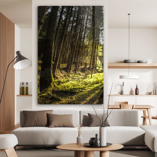 MuchoWow® Peinture sur verre - Arbre - Nature - Soleil - Forêt - 100x150 cm - Peintures sur verre acrylique - Photo sur Glas