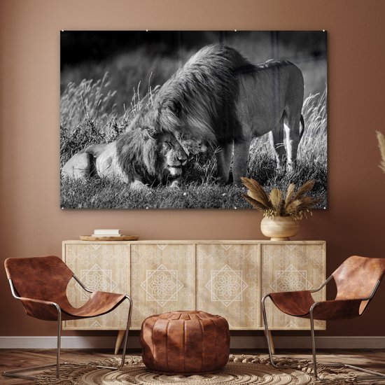 MuchoWow® Peinture sur Verre - Lions enlacés - noir et blanc - 180x120 cm - Peintures sur Verre Peintures - Photo sur Glas