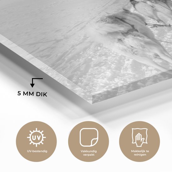 Peinture sur verre - Huskies tirant un traîneau à chiens - noir et blanc - 180x120 cm - Peintures sur Verre Peintures - Photo sur Glas