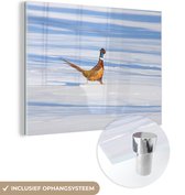 MuchoWow® Glasschilderij 80x60 cm - Schilderij acrylglas - Fazant - Sneeuw - Winter - Foto op glas - Schilderijen