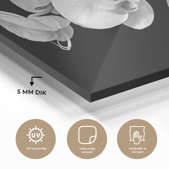 MuchoWow® Peinture sur Verre - Un gros plan d'orchidées sur fond noir - noir et blanc - 150x100 cm - Peintures sur Verre Acrylique - Photo sur Glas