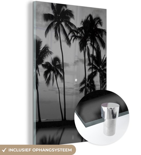 MuchoWow® Glasschilderij 40x60 cm - Schilderij acrylglas - Silhouetten van palmbomen tegen een lichtbewolkte lucht met de maan en een reflectie - zwart wit - Foto op glas - Schilderijen