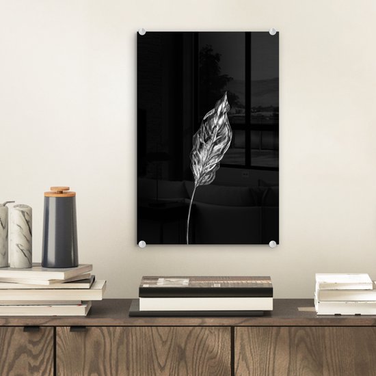 MuchoWow® Peinture sur Verre - Feuille fine sur fond noir - noir et blanc - 20x30 cm - Peintures sur Verre Acrylique - Photo sur Glas