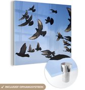 MuchoWow® Glasschilderij 20x20 cm - Schilderij acrylglas - Duiven - Blauw - Lucht - Foto op glas - Schilderijen