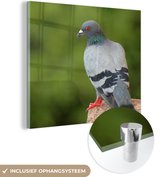 MuchoWow® Peinture sur verre - Duif - Pierre - Vert - 50x50 cm - Peintures sur verre acrylique - Photo sur Glas