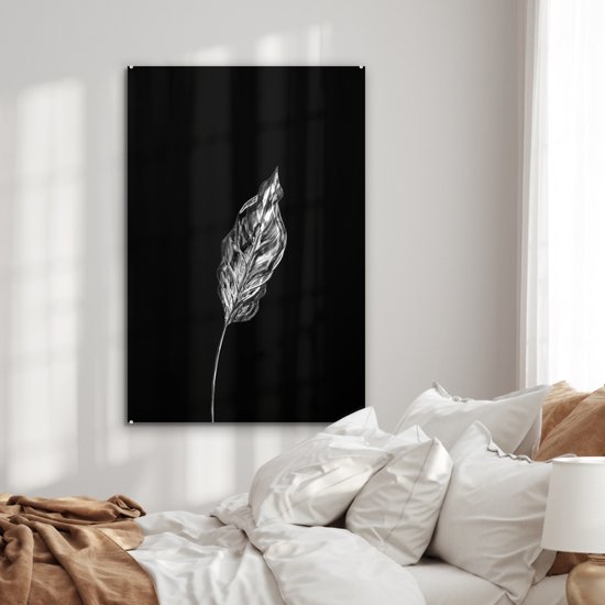 MuchoWow® Peinture sur Verre - Feuille fine sur fond noir - noir et blanc - 60x90 cm - Peintures sur Verre Acrylique - Photo sur Glas
