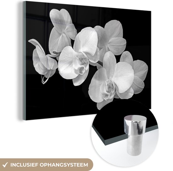 MuchoWow® Glasschilderij 30x20 cm - Schilderij acrylglas - Een close up van orchideeën op een zwarte achtergrond - zwart wit - Foto op glas - Schilderijen