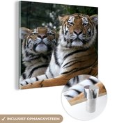 MuchoWow® Glasschilderij 90x90 cm - Schilderij acrylglas - Portret van twee Siberische tijgers - Foto op glas - Schilderijen