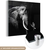 MuchoWow® Glasschilderij 90x90 cm - Schilderij acrylglas - Olifant - Papegaai - Tanden - Zwart - Wit - Foto op glas - Schilderijen