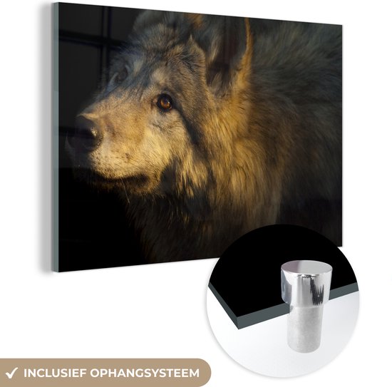 Peinture sur Verre - Loup - Or - Soleil - 60x40 cm - Peintures Plexiglas