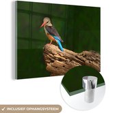 MuchoWow® Glasschilderij 60x40 cm - Schilderij acrylglas - Mooie grijskopijsvogel op een houtstronk - Foto op glas - Schilderijen