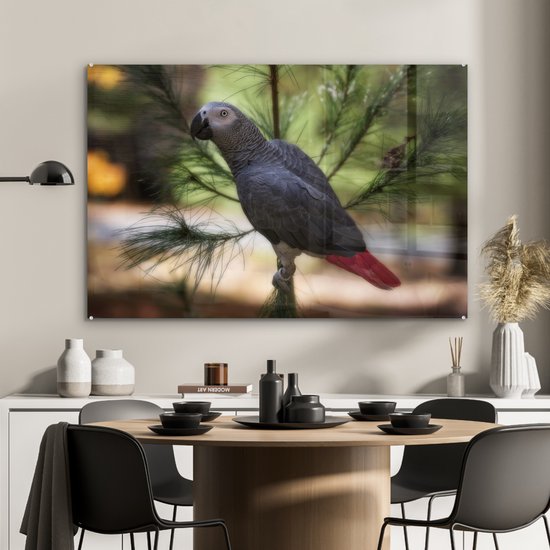 Rougequeue ou perroquet à l'ombre d'une feuille Plexiglas 120x80 cm -  Tirage photo sur
