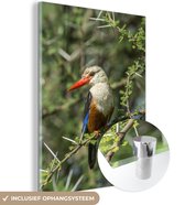 MuchoWow® Glasschilderij 60x80 cm - Schilderij acrylglas - Een grijskopijsvogel in mooie natuur - Foto op glas - Schilderijen