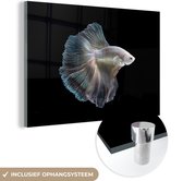 MuchoWow® Glasschilderij 90x60 cm - Schilderij acrylglas - Vis - Water - Staart - Zwart - Foto op glas - Schilderijen