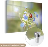 MuchoWow® Glasschilderij 120x80 cm - Schilderij acrylglas - Lieveheersbeestje - Bloem - Blauw - Foto op glas - Schilderijen