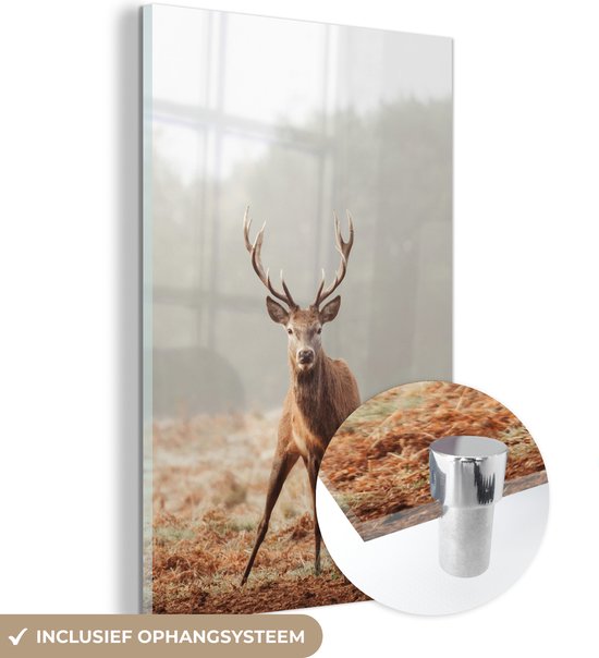 Peinture sur Verre - Cerf - Forêt - Brouillard - 60x90 cm - Peintures sur Verre Peintures - Photo sur Glas