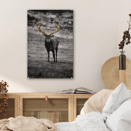 Peintures en plexiglas - Cerf - Or - Bois - 40x60 cm